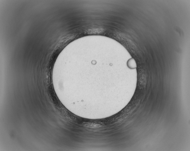 X0000110910743200907301541