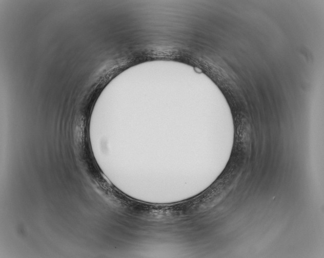 X0000110910744200907301541