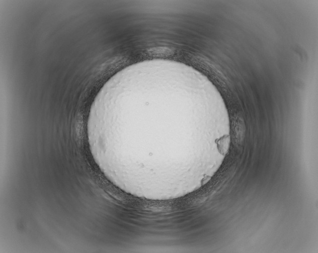 X0000110910745200907301541