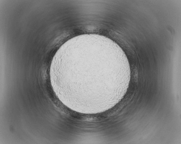 X0000110910746200907301541