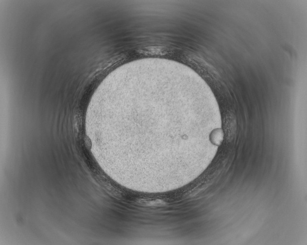 X0000110910747200907301541