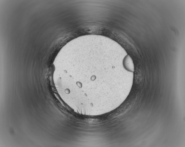 X0000110910748200907301541