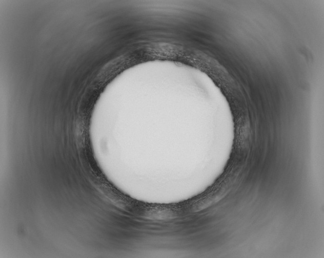 X0000110910749200907301541