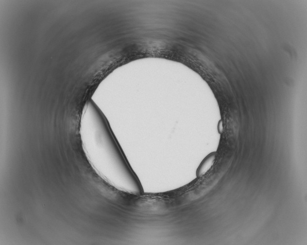 X0000110910750200907301541