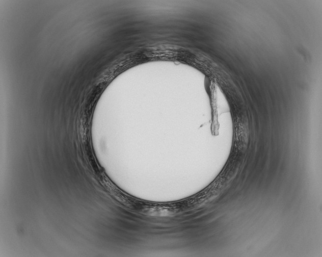 X0000110910751200907301541