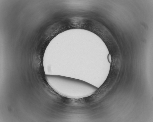 X0000110910752200907301541