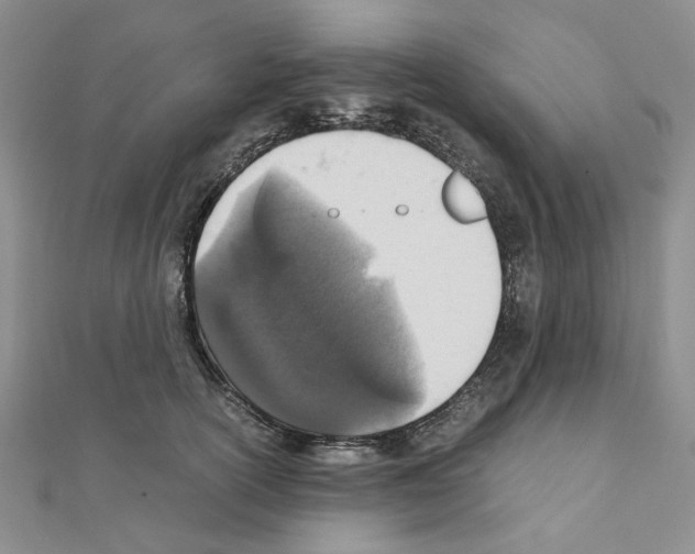 X0000110910754200907301541