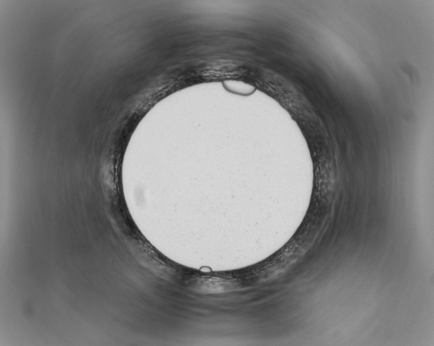 X0000110910755200907301541