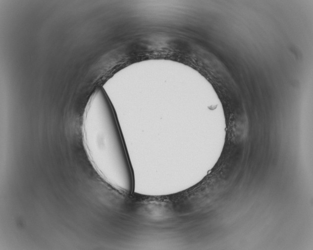 X0000110910756200907301541