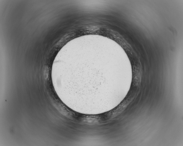 X0000110910758200907301541