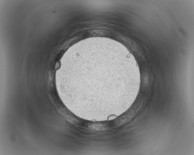 X0000110910759200907301541