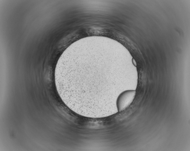 X0000110910760200907301541