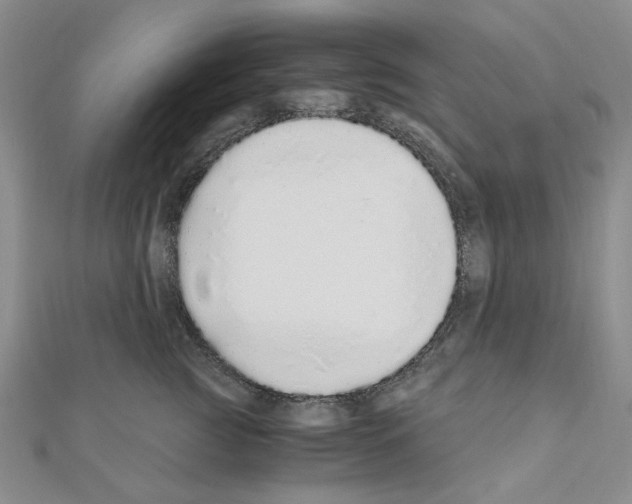 X0000110910761200907301541