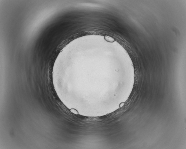 X0000110910762200907301541