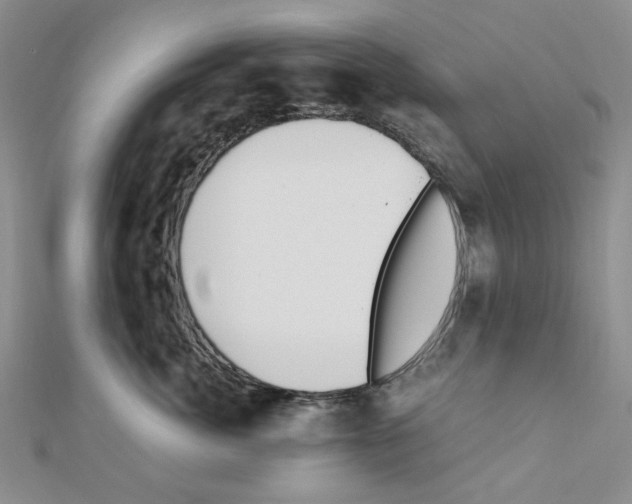 X0000110910764200907301541