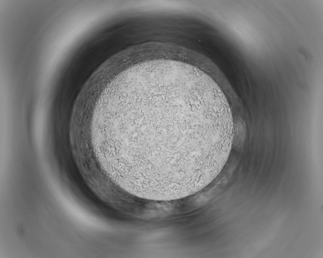 X0000110910765200907301541