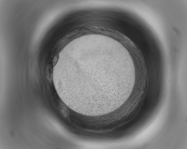 X0000110910766200907301541