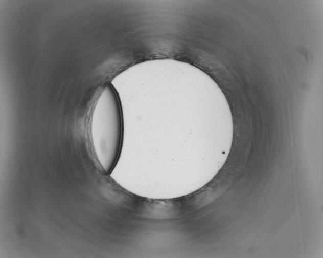 X0000110910768200907301541