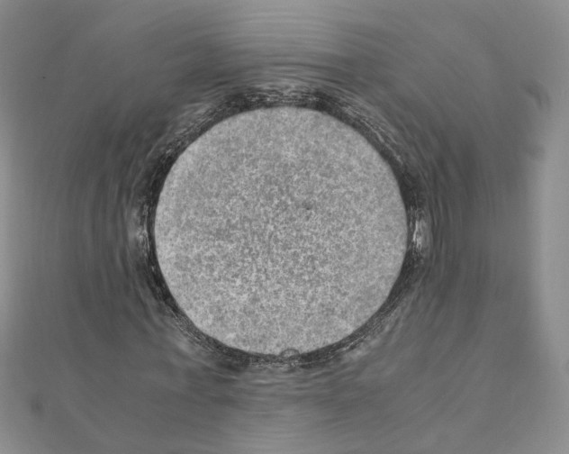 X0000110910771200907301541