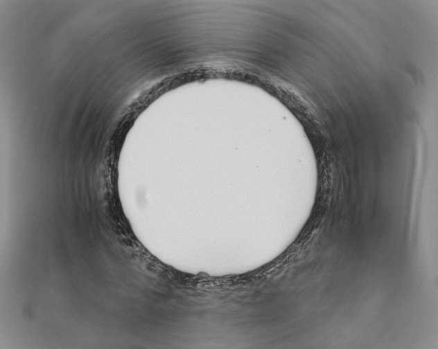 X0000110910776200907301541