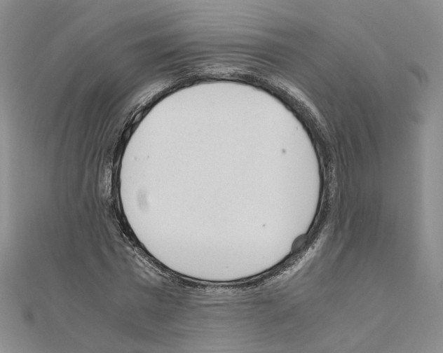 X0000110910777200907301541