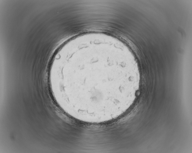 X0000110910779200907301541