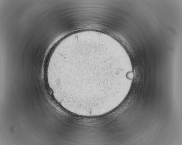 X0000110910780200907301541