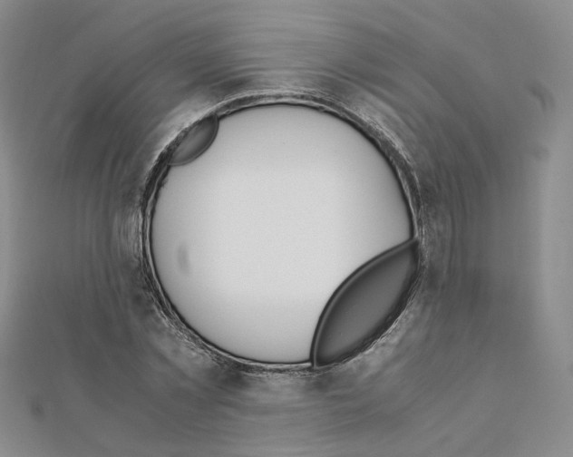 X0000110910781200907301540