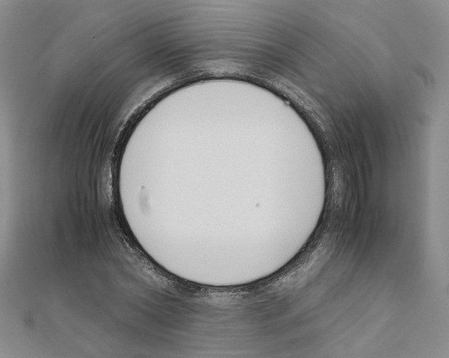 X0000110910782200907301540