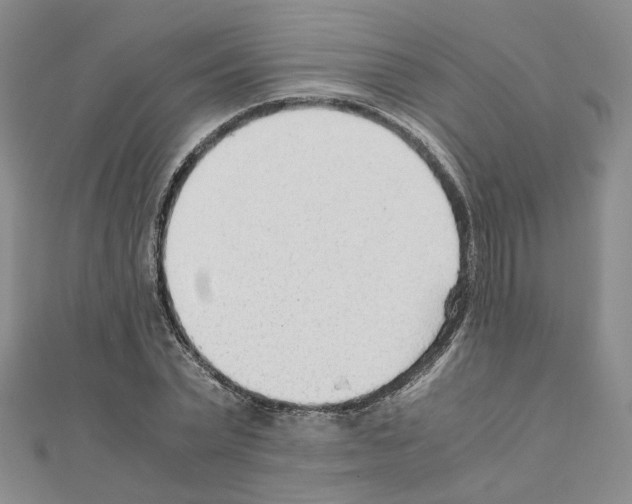 X0000110910783200907301540