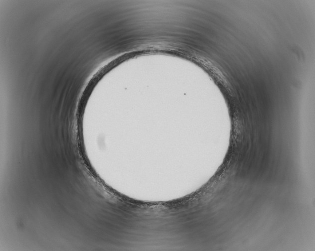 X0000110910784200907301540