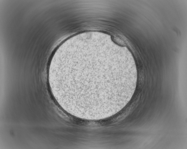 X0000110910787200907301540