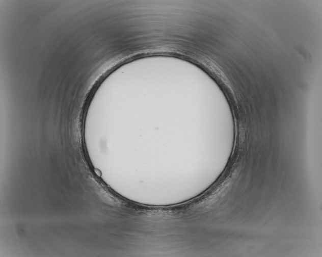 X0000110910789200907301540