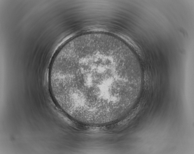 X0000110910790200907301540