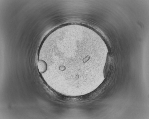 X0000110910791200907301540