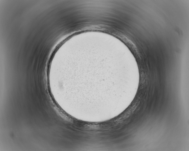 X0000110910792200907301540