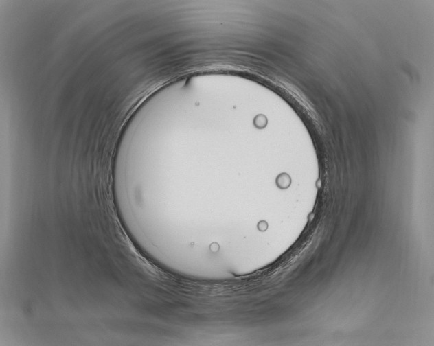 X0000110910793200907301540