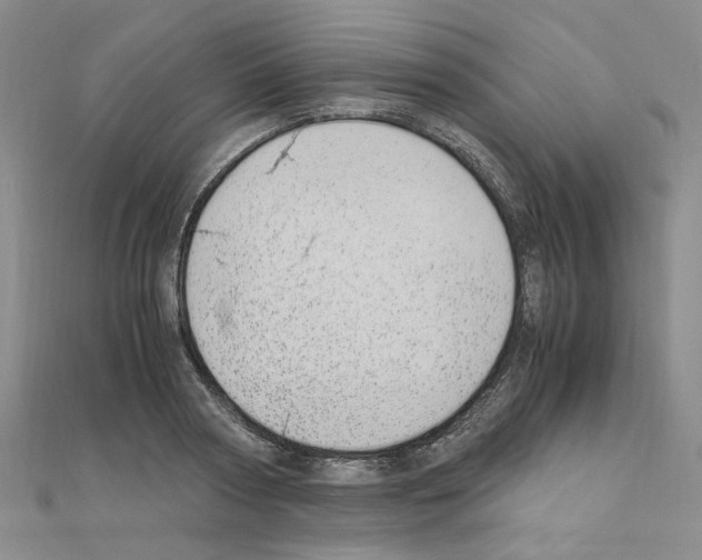 X0000110910794200907301540