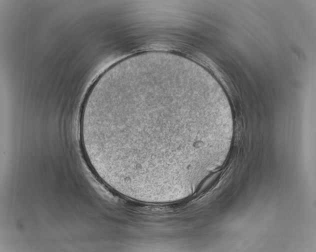 X0000110910795200907301540