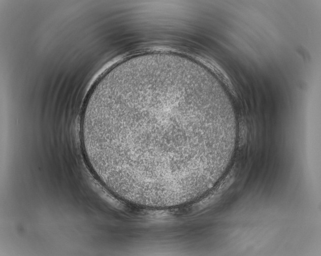 X0000110910798200907301540