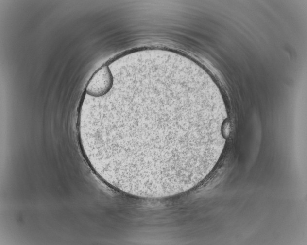 X0000110910799200907301540