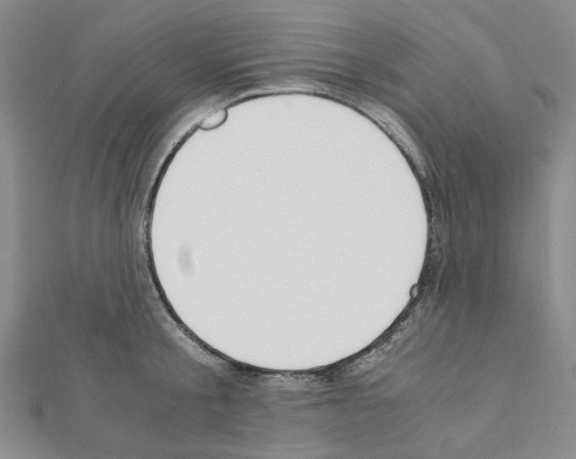 X0000110910805200907301540