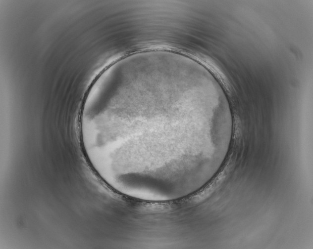 X0000110910806200907301540