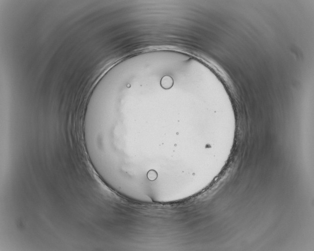 X0000110910809200907301540