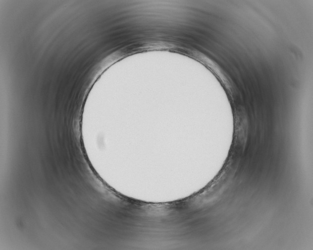 X0000110910810200907301540