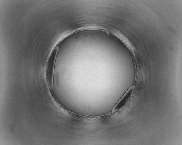 X0000110910813200907301540