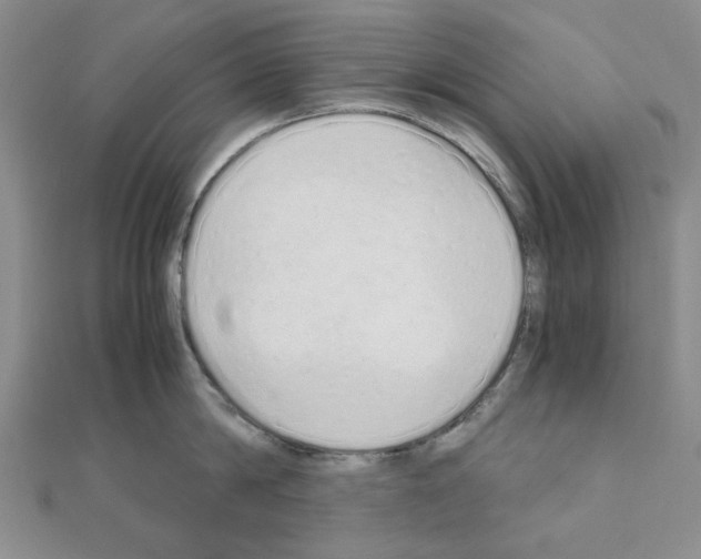 X0000110910814200907301540