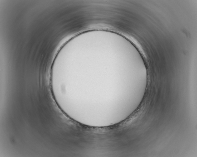 X0000110910815200907301540