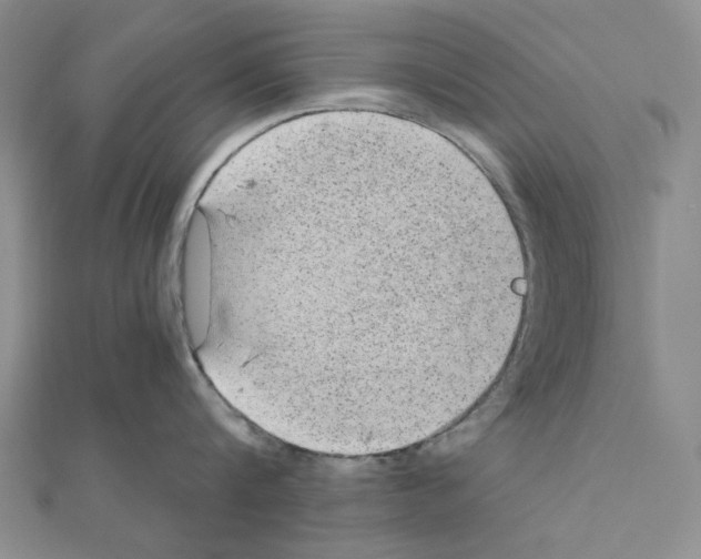 X0000110910816200907301540