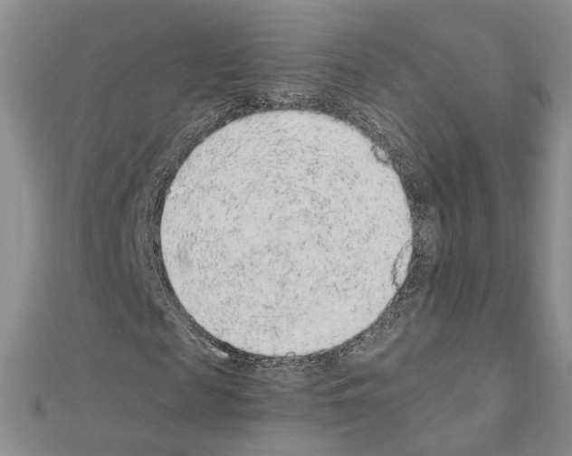 X0000110910817200907301539